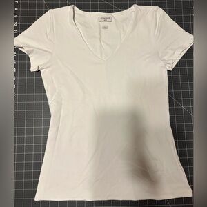 Aritzia Contour V-Neck Hip T-Shirt